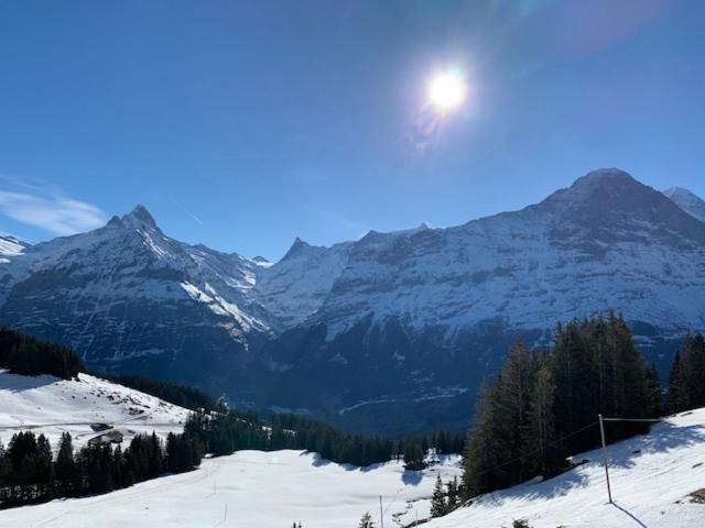Grindelwald-Sunneblick Apartment Luaran gambar